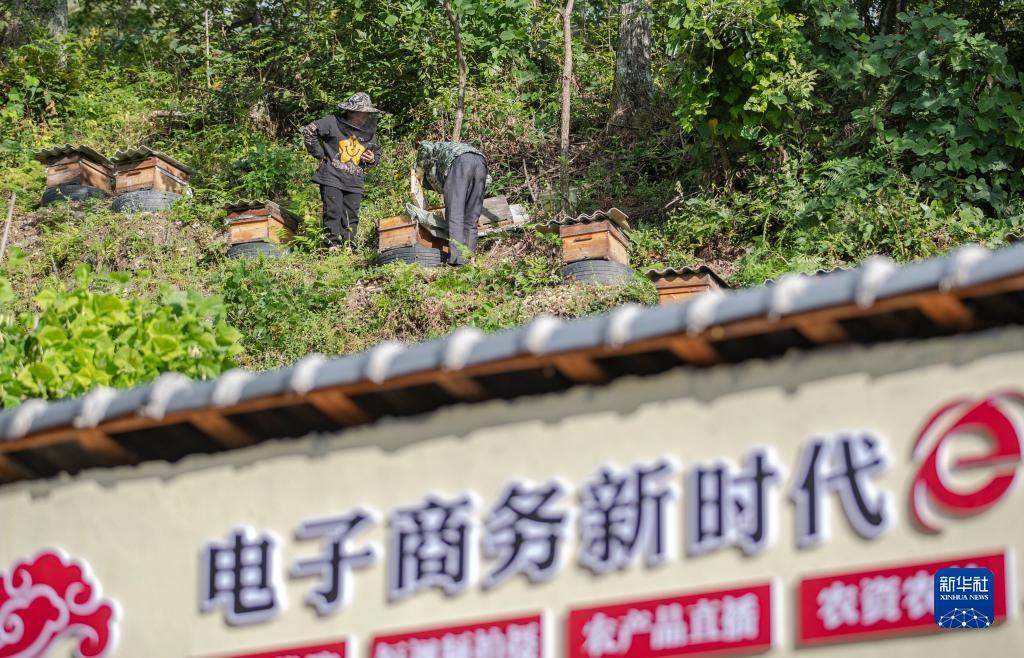 地方精品棋牌